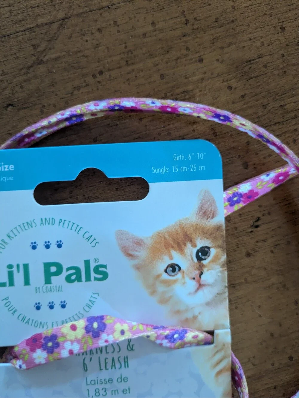 Kitten Harness